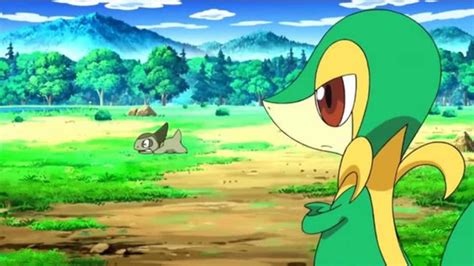 adventure snivy|adventure snivy 3ds.